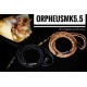 Original Cable - Oc Studio - Orpheus MK 5.5 - Copper4 wire