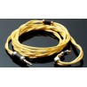 Rhapsodio - Cable Premium Hybride Golden mk4